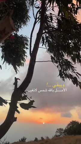 ويبقى الأمـــــل بالله شمس لاتغيب