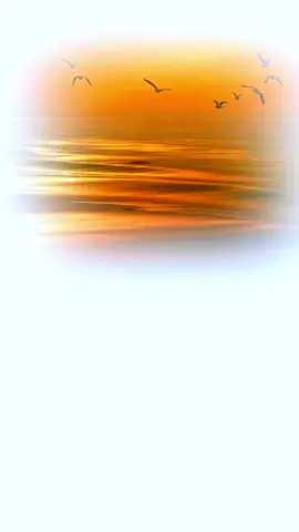 لا هبت الذكريات #اكسبلور 