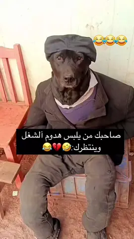 التاق بعمل مشاكل😂💔