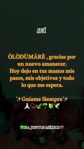 IFA bendiga hoy y siempre, Àsè. #orunmila #orishasyyorubas😝😎📿🍀👍 #orishas #babalawo #ifajuntosmexico 