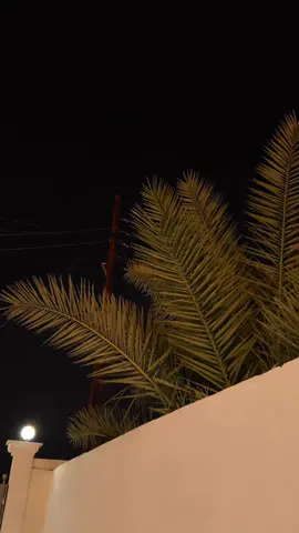 اذا ماصعد احذفه! #غيث_صباح #تصويري 