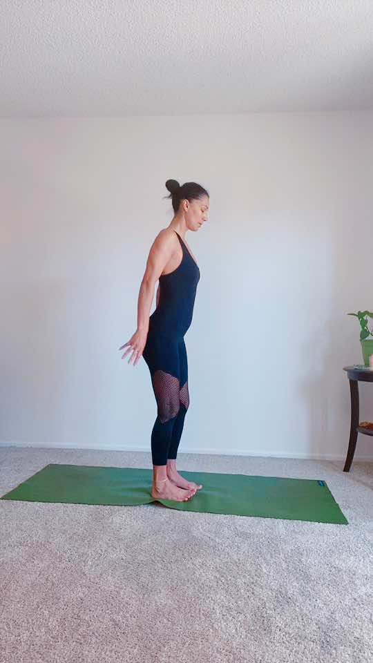 #sanelayogawellness #movementismedicine #homepractice #fyp #sanelayoga 