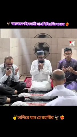 #বাংলাদেশ_ইসলামী_ছাএ_শিবিব়🇧🇩 #সত্য_প্রকাশে_আফসোসহীন✔ #tofayelahammad20 #foryoupage 