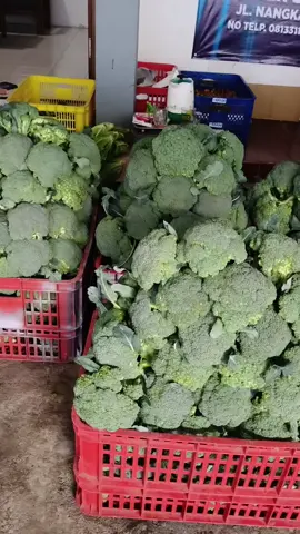 #fyppppppppppppppppppppppp  #foryoupagе  #vzxybca 