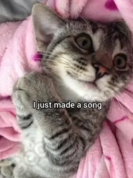 Social anxiety song #funny #cat #meme #georgieebom #fyp 
