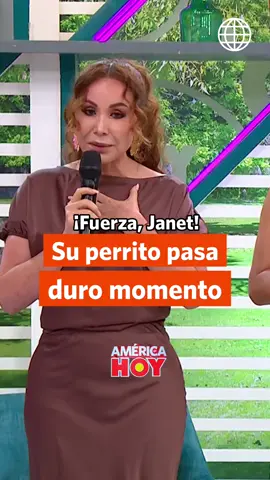 Janet Barboza reveló que su perrito se encuentra en una operación. Esperamos que todo salga bien.🙏🫶🏻 De lunes a viernes a las 9:30 a.m. no te pierdas #AméricaHoy  [Mira los capítulos / programas completos y 100% GRATIS* -Solo Perú- en #tvGO] [Link en la BIO ↑]