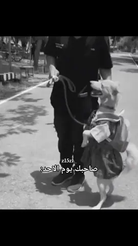 الرياكشنات بالبايو #طلاب_السادس #العراق #البصرة #foryou #fyyyyyyyyyyyyyyyy 