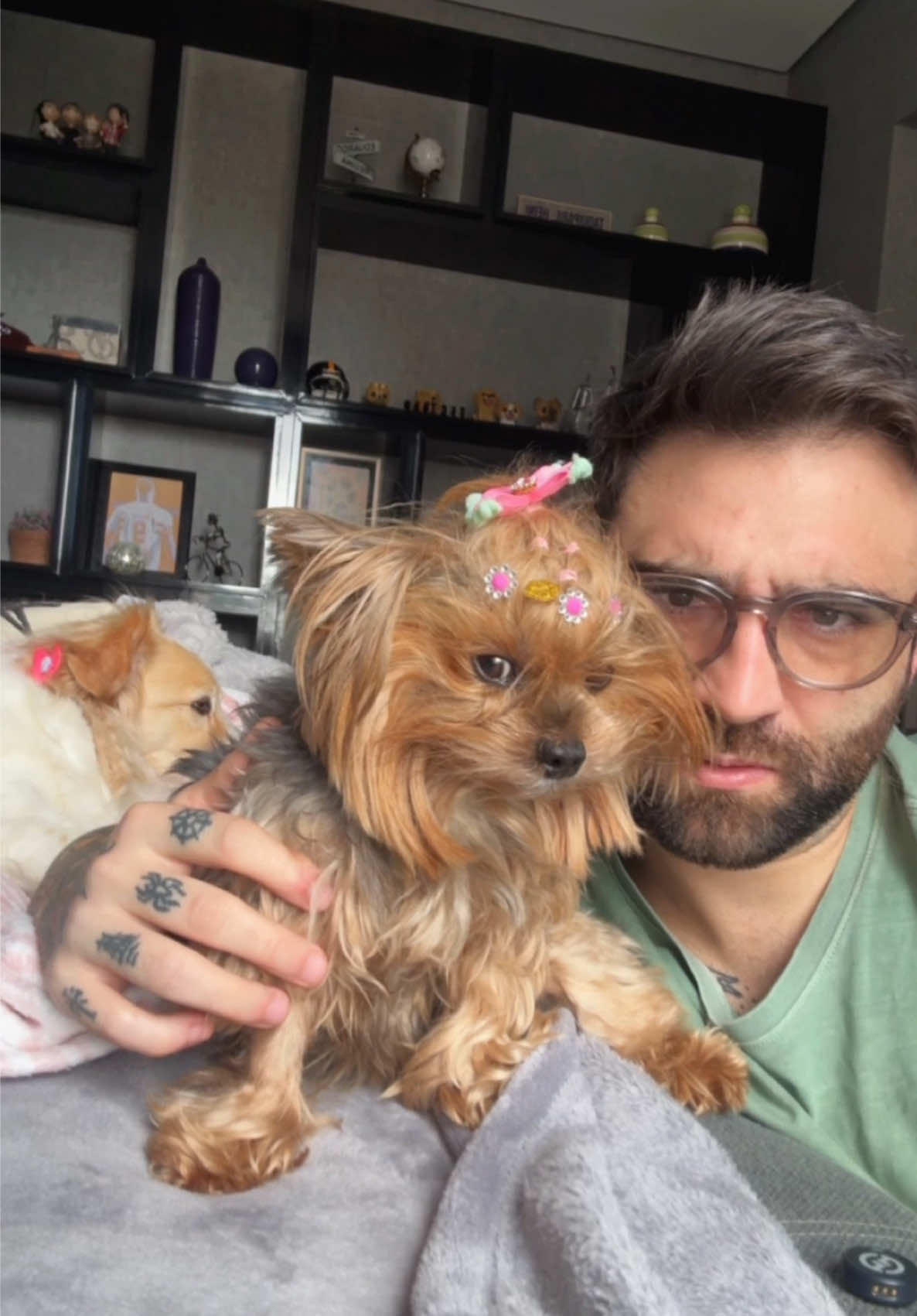 Vamos estar maneirando, pessoal?! • • • #yorkshire #cachorros #comedia #humor 