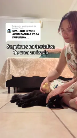 Respondendo a @Andrea Prado A veterinária disse que quando o sacola crescer vai correr atrás da neguinha mkkkk 