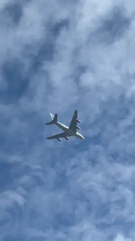 #foryou 🥰🥰🥰🤪🤪🤪