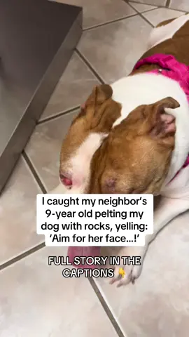 I’d always known my neighbor’s 9-year-old, Lucas, to be wild for climbing fences, spraying paint on the sidewalk, even once setting off firecrackers in the alley. But I never imagined he’d do something this heartless!!! Last weekend, I caught Lucas and his buddies pelting Daisy with rocks, laughing and shouting: “Aim for her face! Get the eyes!” 😡 I bolted outside to see Daisy pawing at her face, eyes swollen red, tears streaming down her fur. My chest seized with panic! I wrapped her in a blanket, pressed her close, and sped off to the nearest emergency vet! Under the cold fluorescent lights, the vet carefully lifted Daisy’s eyelids and frowned:  “She’s got multiple corneal abrasions and an early eye infection. She’s in severe pain, and if untreated, this could cost her her vision.” My hands shook until the vet explained the treatment:  “We’ll start antibiotics and pain relief right away. Once she’s stable, add Taily Collagen Drops to her meals twice daily. The collagen peptides will repair delicate tissues, the omegas will fight inflammation, and they’ll keep her coat strong as she heals.” Daisy’s Road to Recovery  ✨ Day 2: She slurped chicken broth mixed with Taily Collagen Drops, tail gave the tiniest wag.  ✨ Week 1: Swelling eased, redness faded, and she finally rested without whimpering.  ✨ Week 3: She ran to greet me at the door, eyes brighter than I’d seen in weeks.  ✨ Month 1: Eyes fully healed, coat glossy, and the vet declared her “strong and thriving.” I never thought Lucas’s mischief could go this far… but Taily Collagen Drops became Daisy’s lifeline. Every single drop helped heal her from the inside out! 👉 If your pup ever comes home hurt, swollen, or just “off,” grab Taily Collagen Drops on Amazon today! 💚 Comment “TAILY” and I’ll DM you Daisy’s full recovery routine & tag you in PART 2, where I reveal how we held Lucas accountable! #digsoftiktok #dogmom #doglover #healthydog #usa  