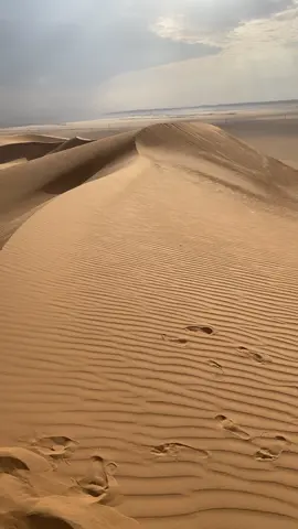 #وادي_الدواسر #الرجبان #الدواسر  #اكسبلور #السليل  ❤️❤️.