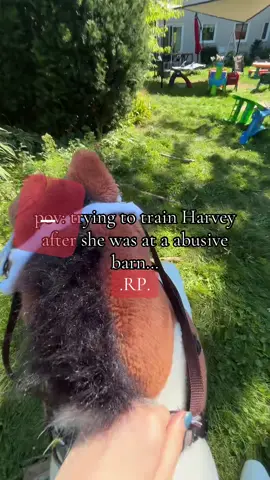 Poor Harvey#hobbyhorse #horserp#rp #toyfarm#fyppppppppppppppppppppppp 