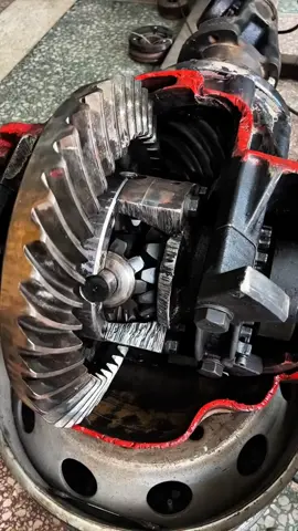 #LIVEIncentiveProgram #LIVEStory #PaidPartnership 