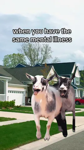 #CapCut 