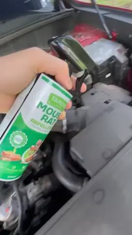 Chuột đang 'rút ruột' ví tiền qua chi phí sửa xe! *Chi phí sửa chữa cao khi gây hư hại nghiêm trọng. Trung bình 5-10 triệu/lần sửa chữa 😭 #xitchuot #taroko 