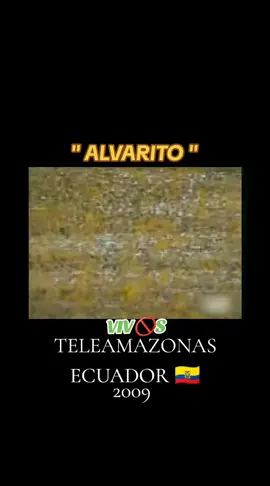 Vivos Ecuador 🇪🇨,  