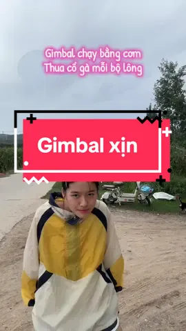 Gimbal chạy bằng cơm #giaitri #haihuoc #vuive #tichcuc #taphoanguoinoitieng 