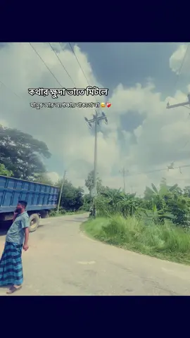 কথার ক্ষদা ভাতে মিটলে মানুষ আর অপেক্ষায় থাকতো না 😌🌸 ##captionvideo #error404life2 #imotionalvideo #dream_World #captionvideo🖤🌼 #trending #vairal🌸🥰🌸 