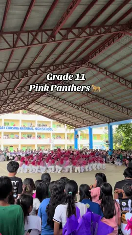 Grade 11 Pink Panthers 🐆 #fyp #intrams #cheerdance #intramurals #seniorhighschool 