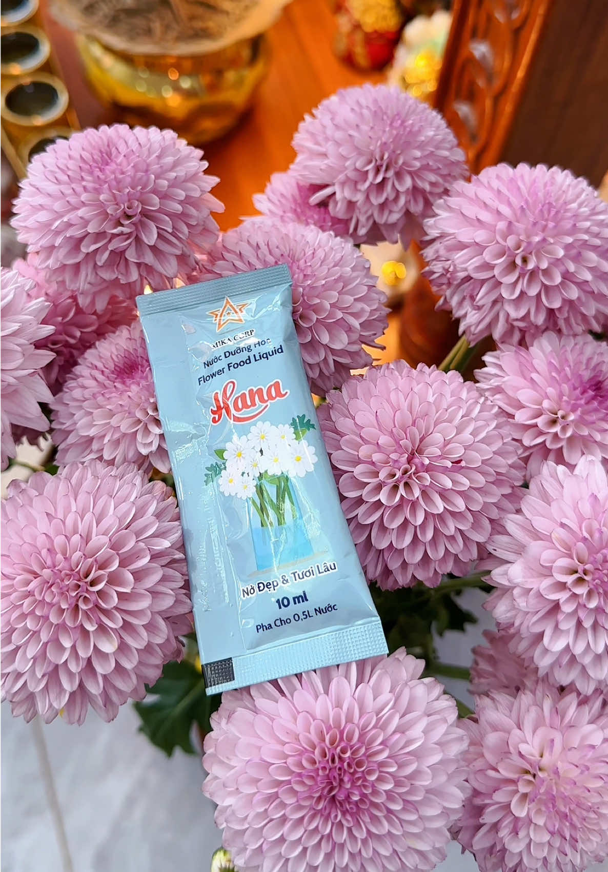 Bí quyết giữ hoa tươi lâu nửa tháng #shopgiadungtramtram #nuocduonghoa #nuocduonghoahana #banthothantai #banthogiatien  @Shop Gia Dụng Trâm Trâm  @Shop Gia Dụng Trâm Trâm  @Shop Gia Dụng Trâm Trâm 