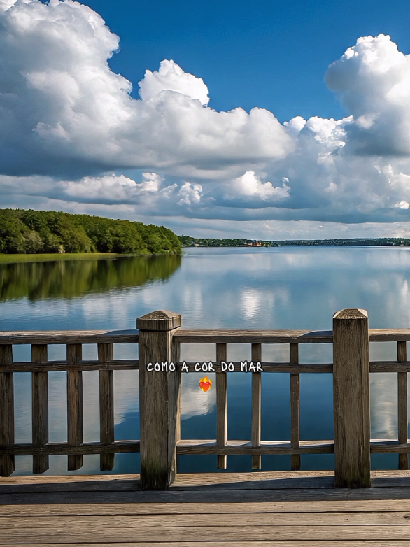 Eu me apaixonei #paulaguilherme #CutTok #capcut #capcutpioneer #pioneertemplate 