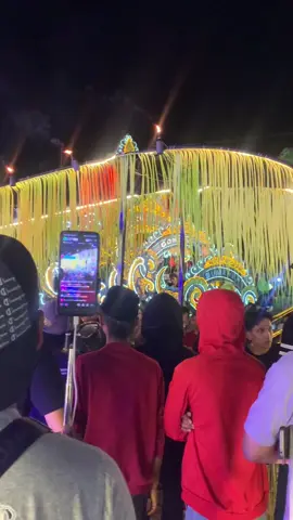 Cornik terros nom#daulsemutireng #semutireng #daulmadura 