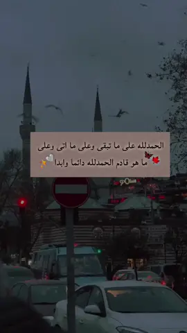 الحمدلله 🤍🍂#راحة_البال_وهدوء_النفس🥀🖤 #الحمدالله_علی_کل_حال❤ 
