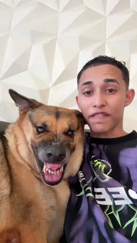 Ela fica tão babado 