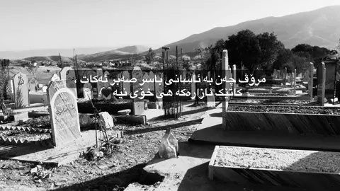 #foryou #fyp #viral#cupcut #hawler_slemani_dhok_karkuk_hallabja 