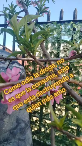 #Dios. Ara. Su. Cambio#solo. Espero #FE