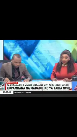 That is crazy 🤣🤣🤣🤣  #kenyantiktok #hizzy #ntv #loftimatambo #fridahmwaka 