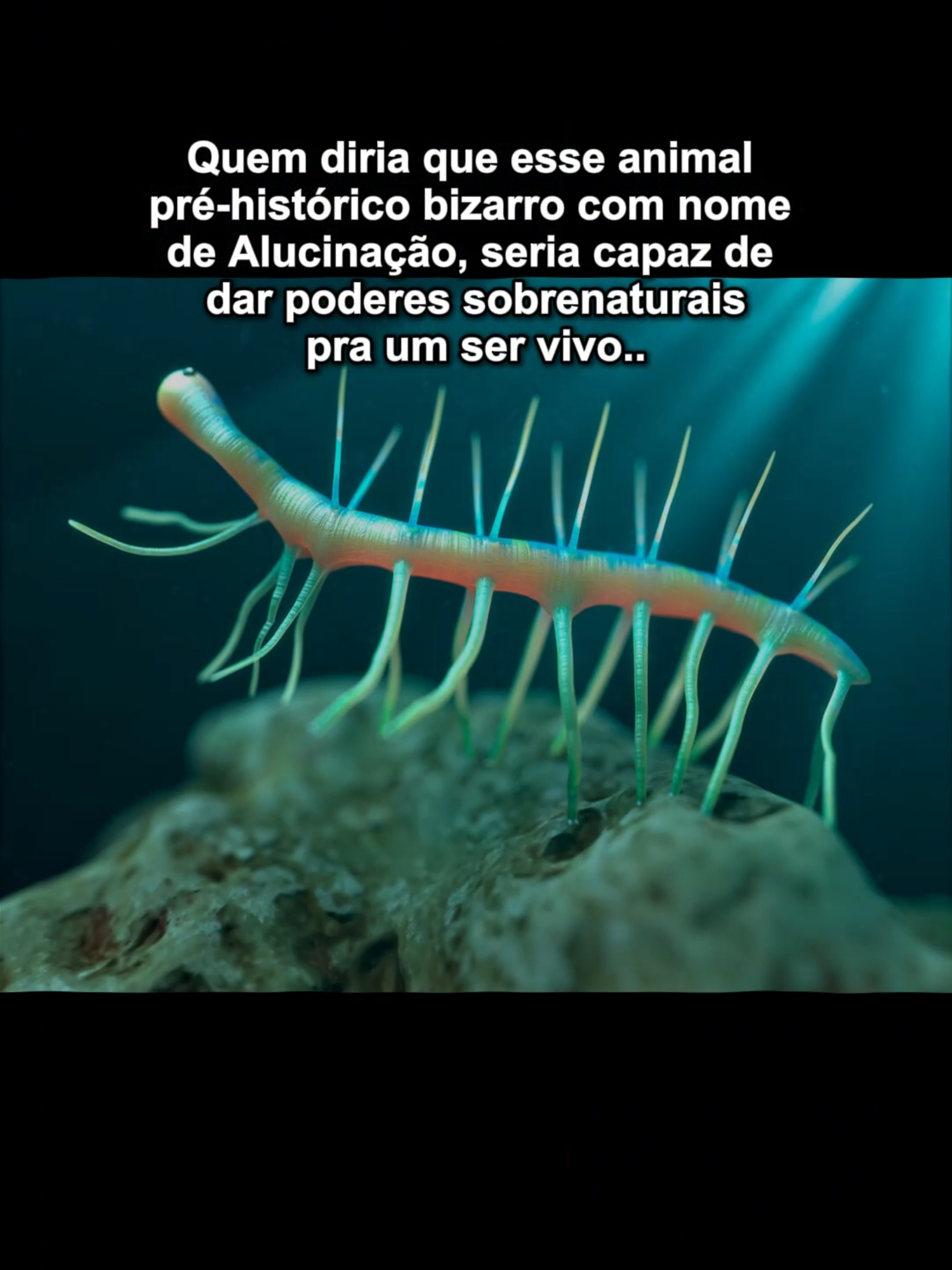 Quem diria né?? 👀 #foryoupage #biologia #criaturas #AttackOnTitan #shingekinokyojin #prehistoria #maquinadotempo