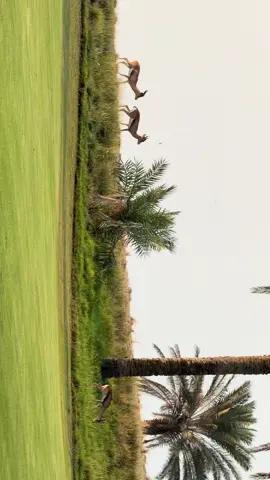 صويب الغزال اللي رعى عالي التنيف في مرتع عسر على اللي يرودونه❣️