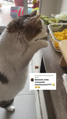 Respuesta a @Nacha robando choclos en #fiestaspatrias 