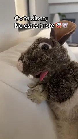 No pos gracias #ramonatherat #triste #noestestriste #comedia #fyp