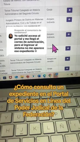 Respuesta a @sandiohana7  ¿Cómo reviso un expediente electronico en el portal de servicios en línea del poder judicial de la federación? 