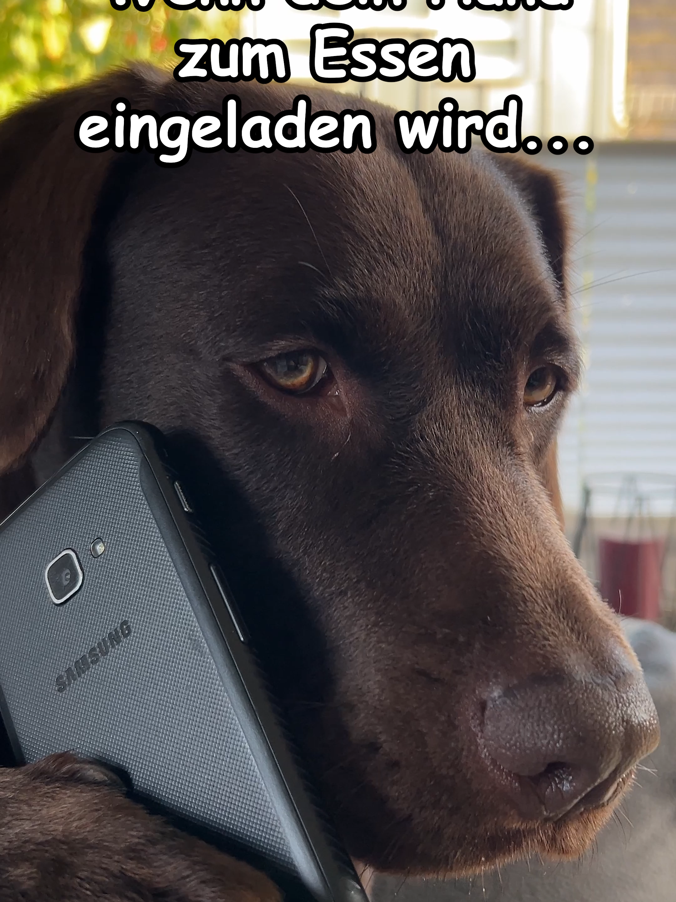 Mein Hund wird zum Essen eingeladen... Hat Sie gute Argumente? :) Wenn euch das Reel gefällt, lasst doch gerne ein LIKE da, FOLGT uns & TEILT das Reel, danke :) #dogcomedy #dogcomedyvideo #viral #trend #dog #hund #lustig #funny #Chocolab_Easy #Labrador #retriever #germany #tiktok #bundeskanzler #politik #tiktokviral