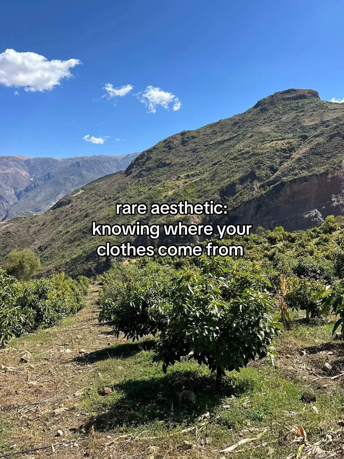 Peruvian supply chains >  #consciousengineering 