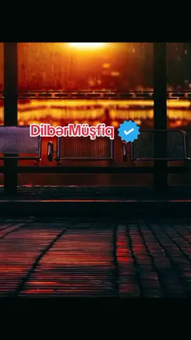 #mikayilmusfiq #mikayilmusfiqdunyasi #dilberaxundzade #mikayil #dilbermusfiq 