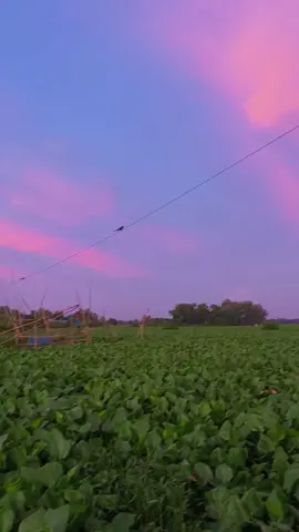 আমার বেলা গেলো সন্ধ্যা হলো, গনার দিন ফুরাইয়া গেলো.. এখন দেখি সময় বেশি নাই🥀😄 #কিশোরগঞ্জের_পোলা #trending #viralvideo #fyp #foryoupage 