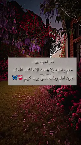 يارب🤍🍂#راحة_البال_وهدوء_النفس🥀🖤 #خواطر 