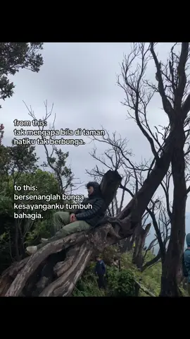 #tamanbunga