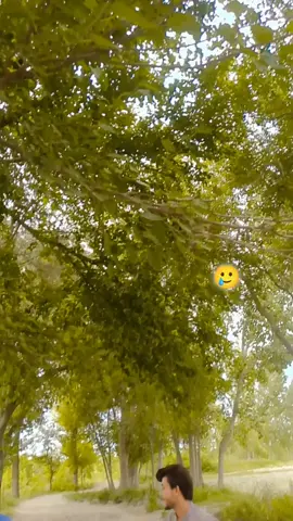 #🥀🥀🥀🥀🥀🥲🥲🥲🥲🥲💔🐯💔💔💔💔💔💔💔💔💔💔 