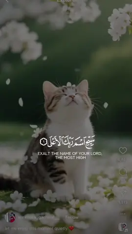 ❤️❤️❤️❤️❤️