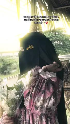 সরল মনে বিশ্বাস করার পর যে ঠকায়, তার দিকে ফিরে না তাকানোই আমার সরলতা 👀❤️‍🩹 #sumaiyaaara #fpyツ #foryou #viral #views #fyppppppppppppppppppppppp #unfrezzmyaccount @TikTok Bangladesh 