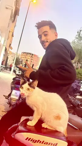 #LIVEIncentiveProgram #LIVEStory #PaidPartnership 