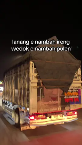 #umakulales #tangamesulales 