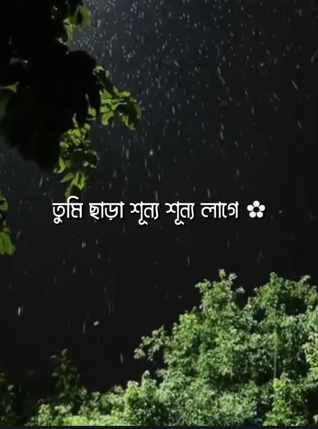 - তুমি ছাড়া শূন্য শূন্য লাগে 
