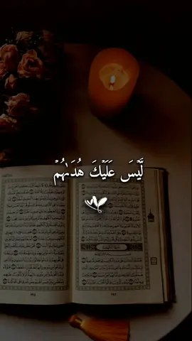 #ليس_عليك_هداهم_ولكن_الله_يهدي_من_يشاء #القرأن_الكريم #فارس_عباد #quran #quran_alkarim 